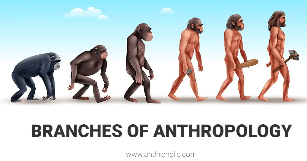 Branches of Anthropology - Anthroholic