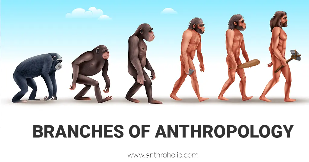 Branches of Anthropology - Anthroholic