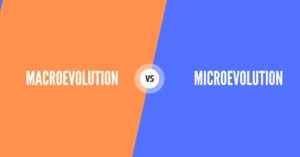 Microevolution Vs Macroevolution in Anthropology