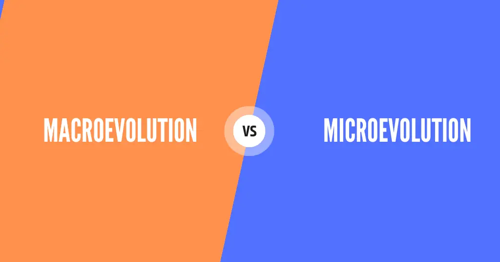 Evolution at different scales: micro to macro
