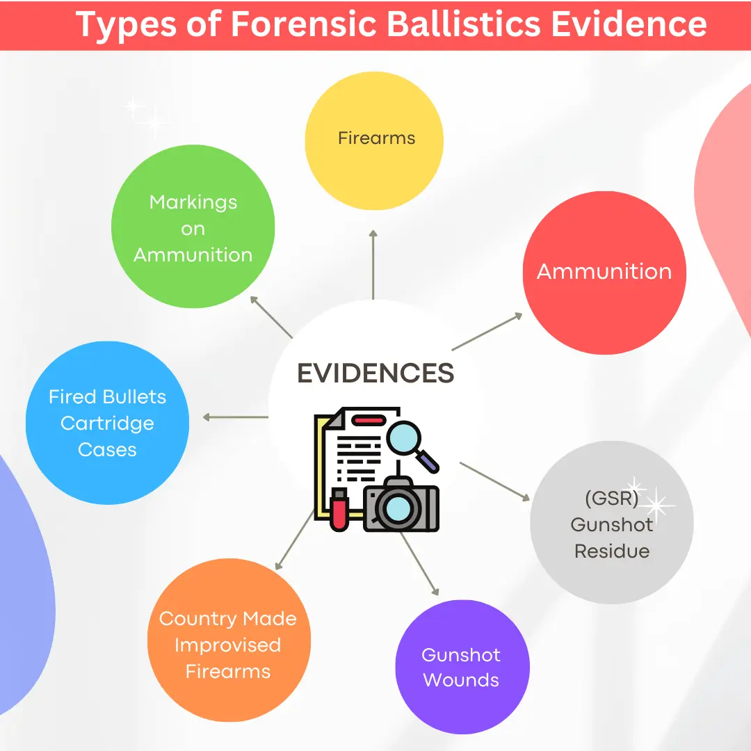 Types of Forensic Ballistic Evidences in Anthropology