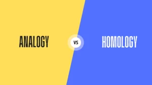 Analogy and Homology in Anthropology