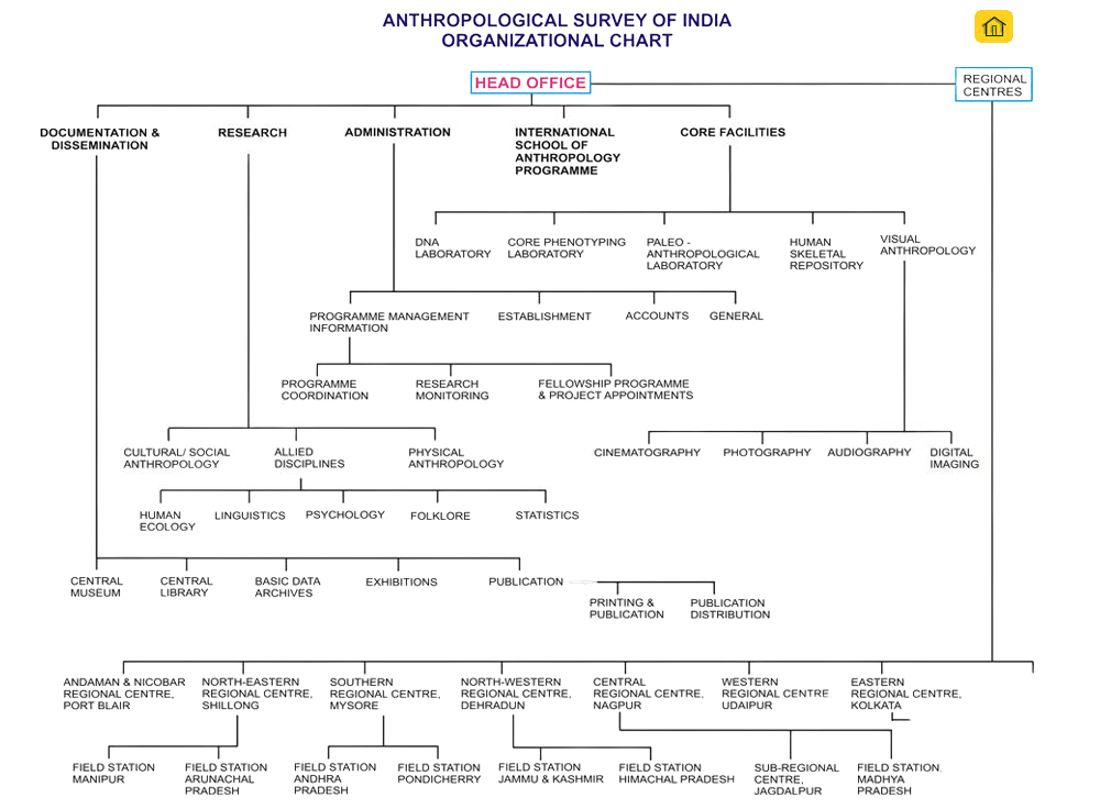 Organizational Chart of Anthropological Survey of India by Anthroholic