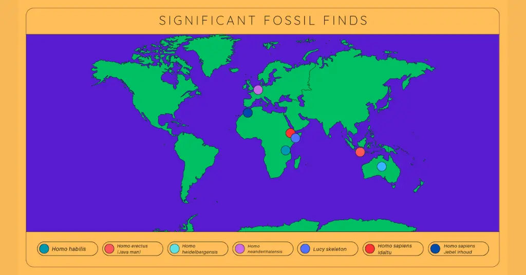 Significant Fossils finds in Paleoanthropology