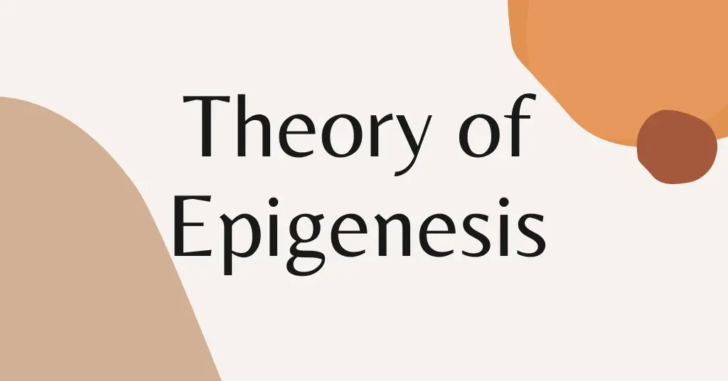 Theory of Epigenesis in Evolution - Anthropology