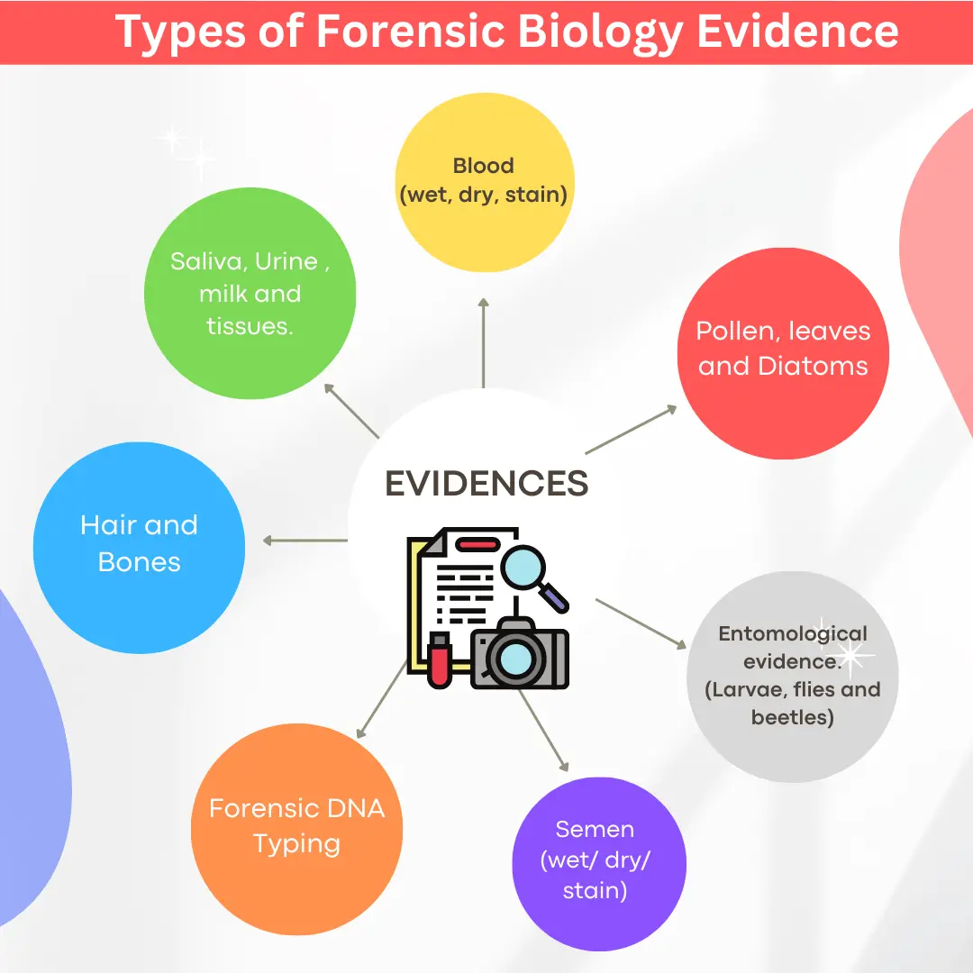 Types of Forensic Biology Evidences in Anthropology