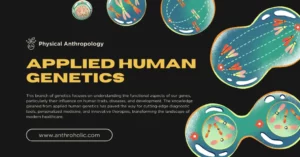Applied Human Genetics in Physical Anthropology
