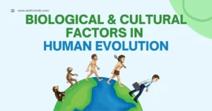 Biological and Cultural Factors in Human Evolution in Anthropology