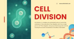Cell Division in Biology