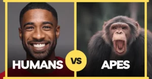Comparing Humans and Apes in Primatology and Anthropology