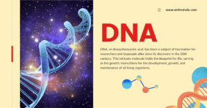 DNA or Deoxyribonucleic Acid in Biology