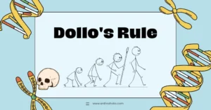 Dollo's Rule in Evolutionary Biology in Physical Anthropology