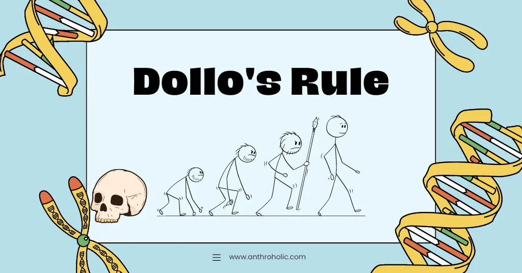 Dollo's Rule in Evolutionary Biology in Physical Anthropology