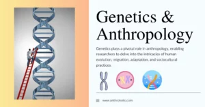 Genetics and Anthropology
