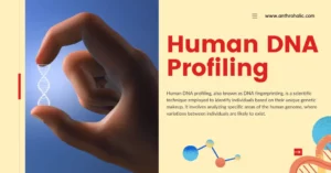 Human DNA Profiling or DNA Fingerprinting in Biological Anthropology