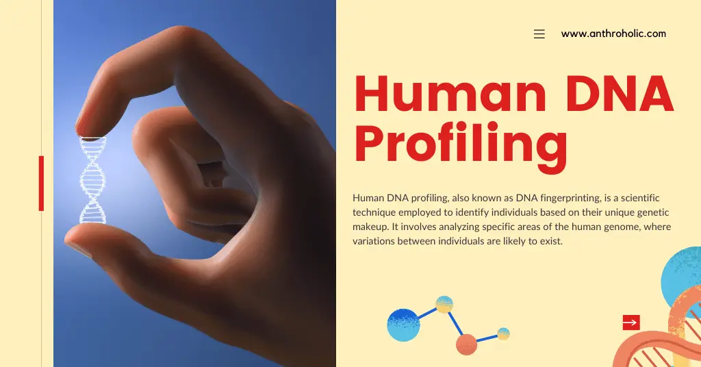 Human DNA Profiling or DNA Fingerprinting in Biological Anthropology