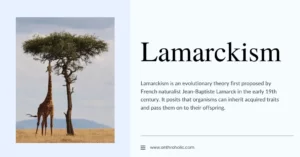 Lamarckism in Evolution in Anthropology