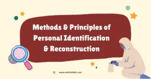 Methods and Principles of Personal Identification and Reconstruction in Anthropology
