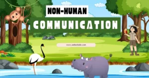 Non-Human Communication in Linguistic Anthropology