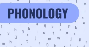 Phnology in Linguistic Anthropology