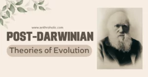 Post-Darwinian Theories of Evolution in Anthropology