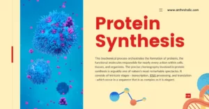 Protein Synthesis in Biological Anthropology
