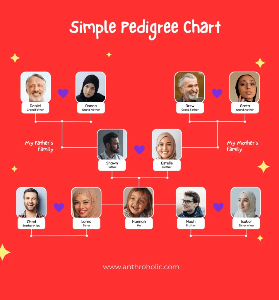 Simple Pedigree Analysis Chart Anthropology