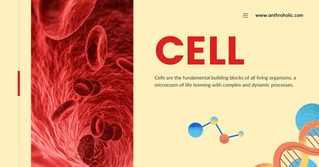 Understanding Cells in Biological Anthropology