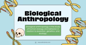 What is Biological Anthropology - Anthroholic