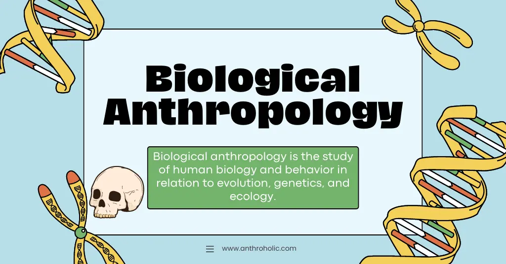 What is Biological Anthropology - Anthroholic