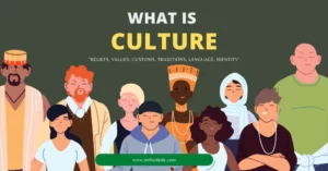 What is Culture in Anthropology