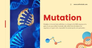 What is Mutation in Evolutionary Biology