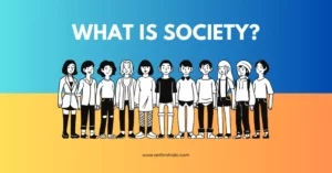 What is Society in Anthropology & Sociology