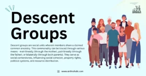 Meaning of Descent Groups in Anthropology
