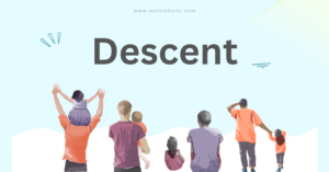 Meaning of Descent in Anthropology