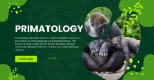 Primatology in Anthropology