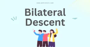 What is Bilateral Descent in Anthropology