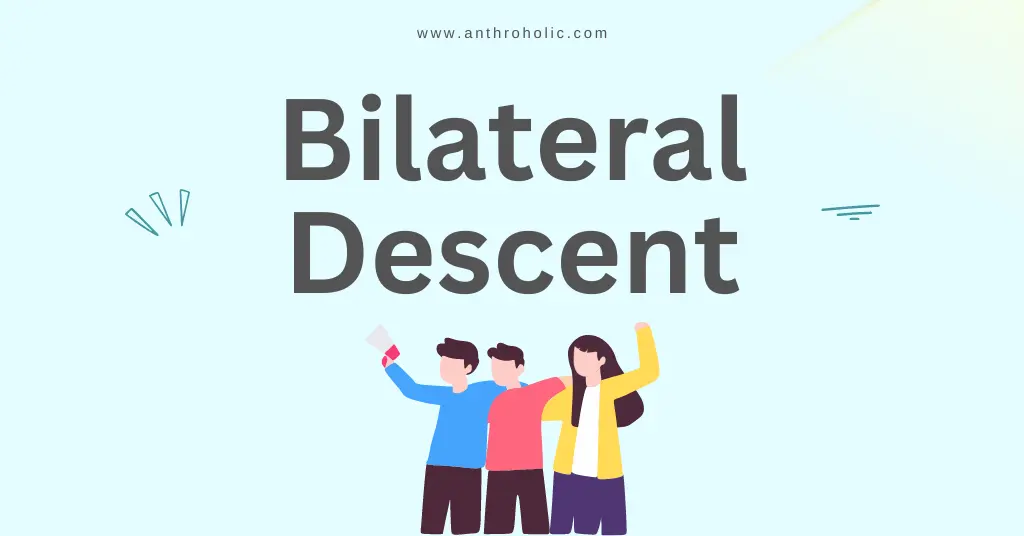 What is Bilateral Descent in Anthropology
