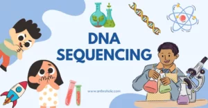 What is DNA Sequencing in Genetics