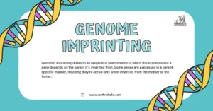 Genomic imprinting refers to an epigenetic phenomenon in which the expression of a gene depends on the parent it's inherited from. Some genes are expressed in a parent-specific manner, meaning they're active only when inherited from the mother or the father.