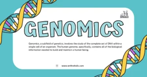Genomics, a subfield of genetics, involves the study of the complete set of DNA within a single cell of an organism. The human genome, specifically, contains all of the biological information needed to build and maintain a human being.