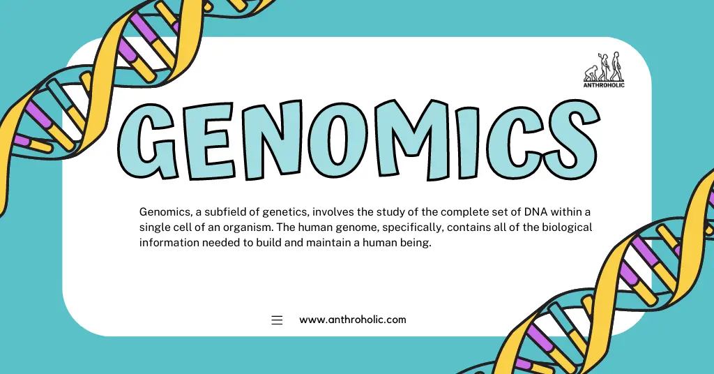 What is Genomics in Human Genetics