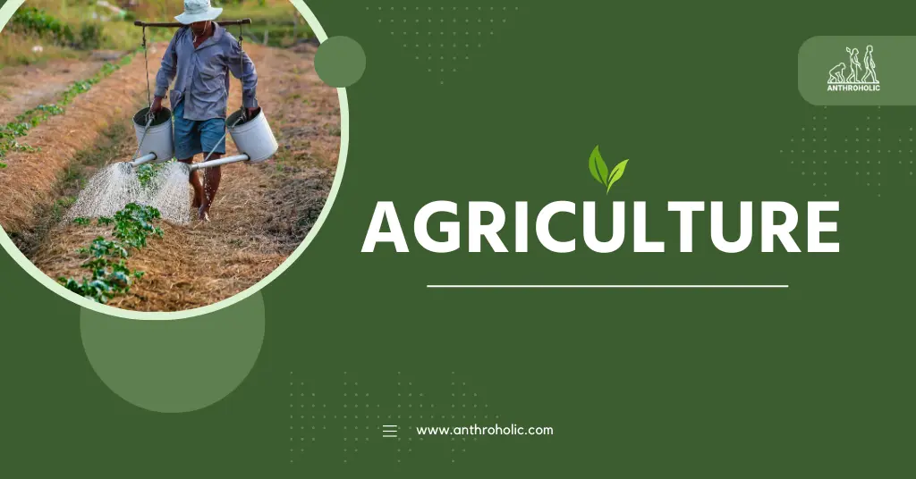 Agriculture, which represents one of the most critical sectors in human civilization, is the practice of cultivating plants and rearing animals for food, fiber, medicinal plants, and other products used to sustain and enhance life.