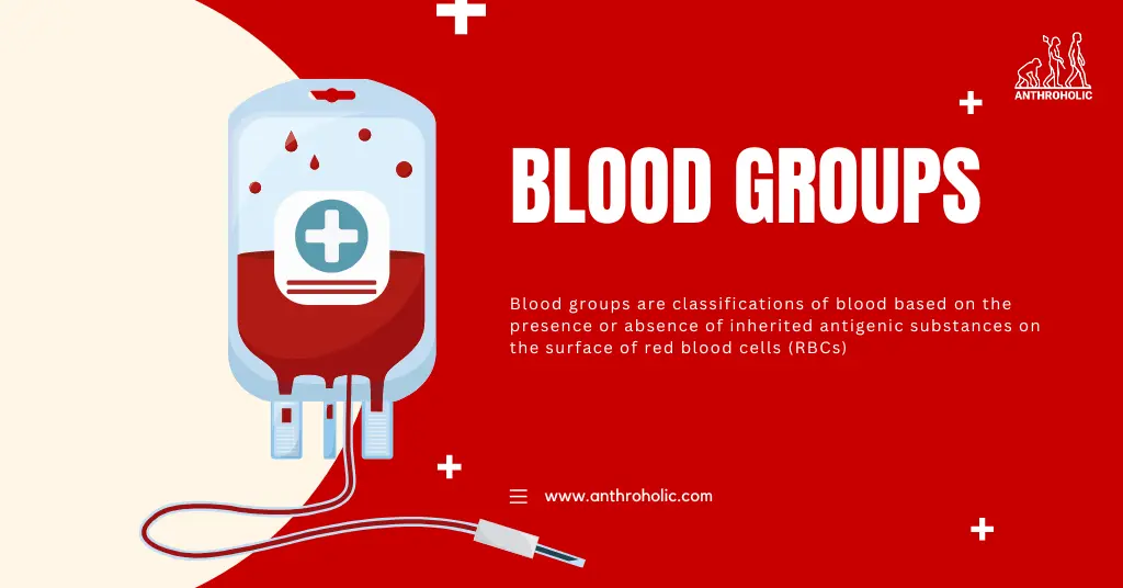 Blood groups are classifications of blood based on the presence or absence of inherited antigenic substances on the surface of red blood cells (RBCs)