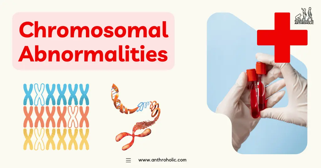 Chromosomal abnormalities occur when there is a significant change in the number or structure of chromosomes in a person's cells. This can include deletions, duplications, inversions, or translocations of chromosome parts.