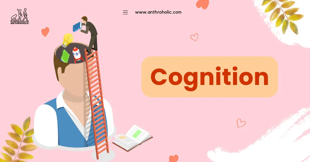 Meaning Of Cognition Anthroholic