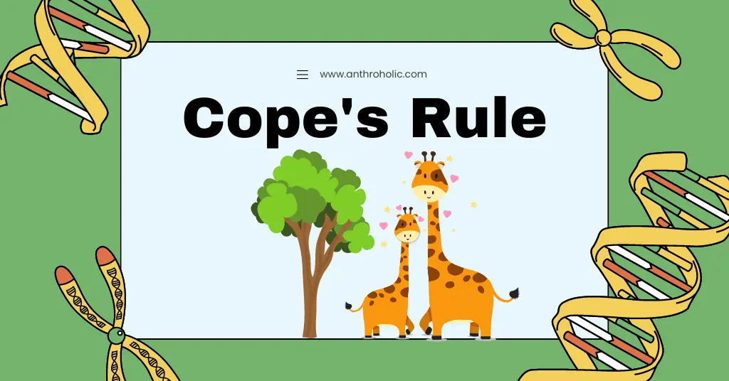 Cope's Rule in Evolution