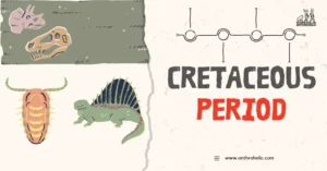 The Cretaceous period, spanning from approximately 145 to 66 million years ago, is the last geological period of the Mesozoic Era, following the Jurassic period and preceding the Paleogene period.