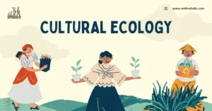 Cultural ecology is a multifaceted concept that resonates across various disciplines, weaving a rich tapestry of insights about the interplay between human cultures and their ecological surroundings. It embodies the complex relationships, adaptations, and feedback mechanisms that exist between societies and the environments they inhabit.