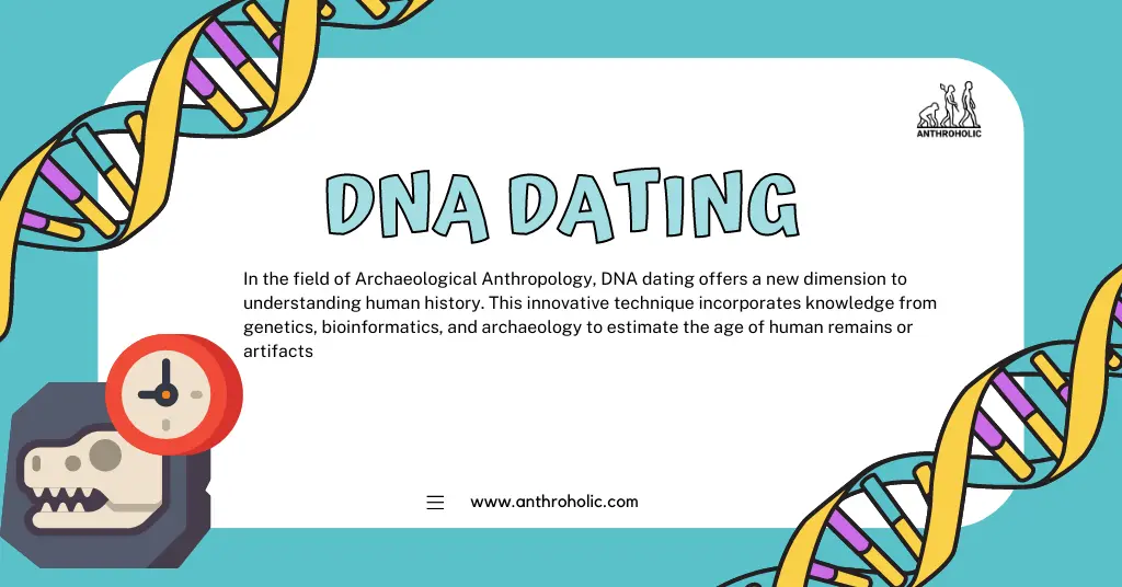 In the field of Archaeological Anthropology, DNA dating offers a new dimension to understanding human history. This innovative technique incorporates knowledge from genetics, bioinformatics, and archaeology to estimate the age of human remains or artifacts.